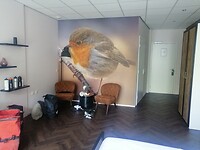 IMG_20230621_171500
