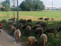 IMG_20230621_110248