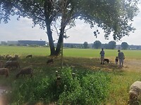 IMG_20230621_110238
