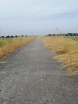 IMG_20230622_121624
