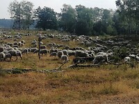 IMG_20230622_094436