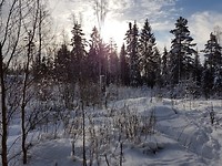 20180215_102628