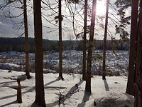 20180215_103320