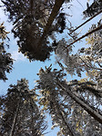 20180215_103717