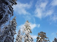 20180215_104649