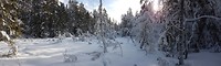 20180215_105202