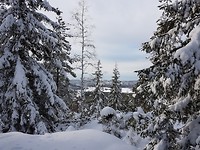 20180215_110706