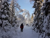 20180215_125016