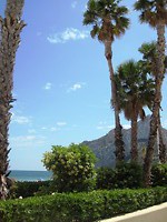 IMG_2454