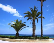 IMG_2455