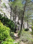 IMG_2509