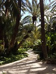 20180515_123211