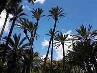 20180515_124158