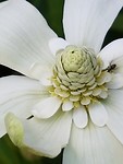 20180515_125448