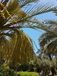 20180515_134656