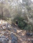20180517_105846