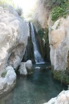 IMG_7207