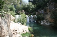 IMG_7216