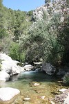 IMG_7228