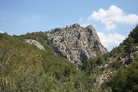 IMG_7236