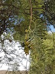 20181101_142347