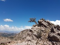20181103_133442
