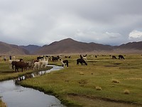 20181106_154045