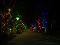 De Esplanada in Cairns in de avond.