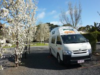 En zo staan we op de camping in Hamilton tussen de bloesem.