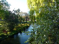 De Avon river waar we eerder gepunterd hadden