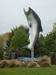The Big Salmon.