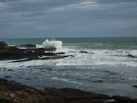 Wilde wateren bij Curio Bay