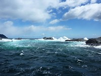 Vanuit Doubtful Sound zicht op de Tasman zee