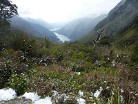 Vanaf de top van de Wilmot Pass kijkend op Lake Manapouri