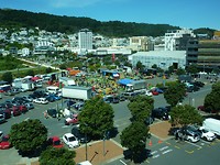 Vanuit Te Papa zicht op het centrum van Welington