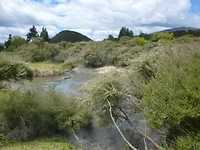 Een mudpool met thermisch heet water en modder.
