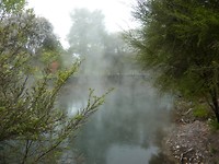 Warm water met een zwavel lucht in het park in Rotorua
