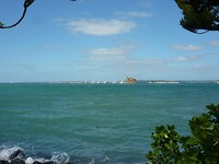 De start van de zeilrace in Gulf Harbour