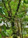 20191002_132231