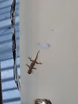 20191001_174515
