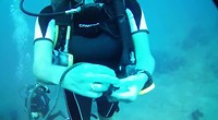 VID-20191014-WA0020
