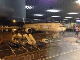 The plane