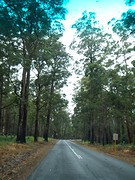 on the road to walpole