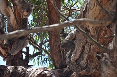 zoekplaatje