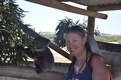 Baby koala en mies