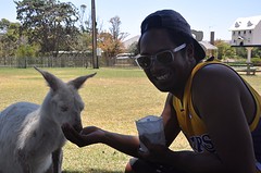 Mel met albino