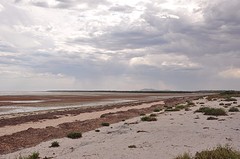 The beach