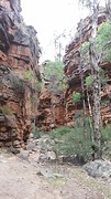 Alligator gorge, mt remarkable