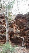 The view@ Alligator gorge, mt remarkable