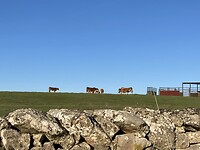 D9653765-CA20-40EE-BD81-184691749413